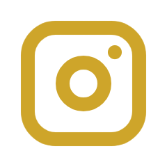 instagramIcon